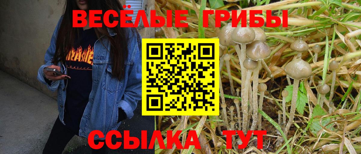Галлюциногенные грибы Magic Shrooms  Вход с VPN  Псилоцибиновые грибы мицелий  Кохма 